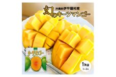 ＜2025年8月～9月頃発送予定＞伊平屋産の幻のキーツマンゴー1kg(1～2玉)【1497062】