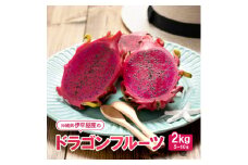 ＜2025年7月～10月頃発送＞伊平屋産のドラゴンフルーツ2kg【1497066】