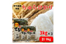 ＜2025年発送＞伊平屋島特産のちゅらひかり3kg×3袋【1504140】