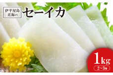 もちっと食感のセーイカ1kg【1497098】