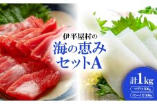伊平屋村の海の恵みセットA(マグロ500g、セーイカ500g)【1497113】