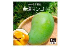 ＜2025年7月から順次発送予定＞伊平屋産の金煌(キンコウ)マンゴー1kg【1518872】