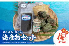 伊平屋島で獲れた海産物セット 梅プラン(4～6品)【1518216】