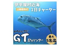 ＜貸し切りプラン＞沖釣りチャーター 上級者向け1日プラン(1～5名様)【1523917】