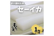 もちっと食感 セーイカ 1kg(2～3柵)【1544697】