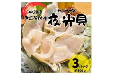 夜光貝 3パック 800g(1パックあたり200g～300g)【1544708】