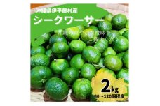 青シークワーサー 伊平屋村産 2kg【1551907】