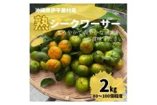 熟 シークワーサー 伊平屋村産 2kg【1564176】