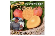 ＜2025年7月頃発送＞離島の恵み　完熟マンゴー1.0kg【1574747】