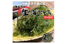 ぷちぷち濃厚 伊平屋の「生」海ぶどう 100g×2パック【1582127】