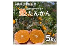＜2026年2月～3月頃順次発送予定＞伊平屋村産 熟たんかん 5kg【1591131】