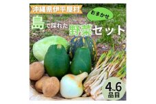 島で採れた新鮮野菜詰め合わせセット(4～6品目)【1606515】
