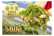 伊是名島育ちの海ぶどう(500g)