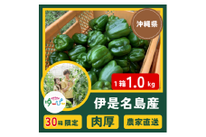 【30箱限定】伊是名島の若手農家が生産するもぎたてピーマン「ゆ～ぴ～」1kg