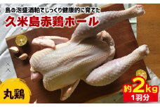 島の泡盛酒粕でじっくり健康的に育てた 久米島赤鶏ホール(丸鶏) 2kg(1羽分) 鶏肉 チキン 安心安全 ぷりっぷり ジューシー 肉汁 弾力 肉質 フランス原産 レッドブロ― ローストチキン サムゲタン 参鶏湯 ダッチオーブン 丸ごと調理 キャンプ クリスマス ホームパーティー ダッチオーブン ファミリー