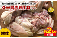 島の泡盛酒粕でじっくり健康的に育てた 久米島赤鶏1羽セット(解体) 2kg 鶏肉 チキン 安心安全 ぷりっぷり ジューシー 肉汁 弾力 肉質 フランス原産 レッドブロー カレー 煮物 ソテー カツ 唐揚げ キャンプ BBQ クリスマス ホームパーティー パック