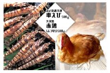 活〆急速冷凍車えび500ｇ・久米島赤鶏（ぶつ切り）500ｇセット