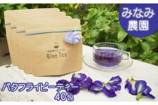 久米島産天然バタフライピーティー　40包