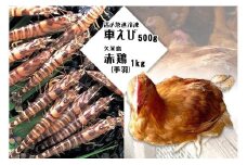 活〆急速冷凍車えび500g・久米島赤鶏（手羽）1kgセット
