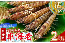 【久米島漁協】活〆冷凍車海老　生食用2kg 海の幸 海鮮 車えび クルマエビ 車海老 高級食材 生食 刺身 鮮度抜群 プリプリ 甘み 旨味 塩焼き 天ぷら 素揚げ フライ パスタ ピザ BBQ シーフード