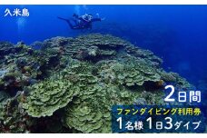 久米島ファンダイビング利用券1名様　1日3ダイブ×2日間 ダイビング ファンダイブ ダイビングスポット ダイバー ウミガメ マンタ 熱帯魚 サンゴ礁 マリン アクティビティ 水中 潜水 ライセンス バディ 潜る 沖縄 久米島 海 海洋生物 スキューバ