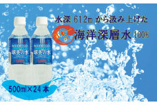 久米島・海洋深層水100％！球美の水 硬度1000：500ml(24本入り）