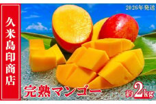 【2026年発送】久米島印商店 完熟マンゴー 約2kg マンゴー フルーツ 果物 デザート 完熟 甘い 濃厚 スムージー アイス プリン ヨーグルト ケーキ 贈り物 贈答 ギフト 人気 リピーター 南国 沖縄 久米島