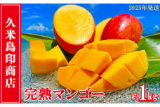 【2025年発送】久米島印商店 完熟マンゴー 約1kg マンゴー フルーツ 果物 デザート 完熟 甘い 濃厚 スムージー アイス プリン ヨーグルト ケーキ 贈り物 贈答 ギフト 人気 リピーター 南国 沖縄 久米島