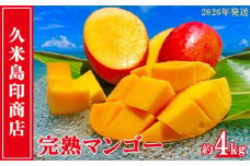 【2026年発送】久米島印商店 完熟マンゴー 約4kg マンゴー フルーツ 果物 デザート 完熟 甘い 濃厚 スムージー アイス プリン ヨーグルト ケーキ 贈り物 贈答 ギフト 人気 リピーター 南国 沖縄 久米島
