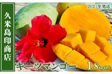 【2025年発送】久米島印商店 久米島産キーツマンゴー 1.8kg以上 マンゴー キーツ 果物 デザート フルーツ 濃厚 甘い 幻のマンゴー とろける食感 香り アイス ヨーグルト ジャム ジュース スムージー スイーツ 贈り物 ギフト 沖縄 久米島