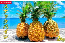 【2025年発送】久米島印商店 スナックパイン 約2kg パイナップル パイン スナック フルーツ ジューシー ボゴール 久米島 沖縄 台湾 濃厚な甘味 酸味が強い 果汁 完熟 果肉が柔らかい 糖度 ちぎって食べる 甘い香り 小ぶり お土産 旬