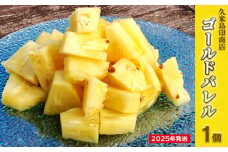 【2025年発送】久米島印商店「ゴールドバレル」黄金パイナップル1個（1.3kg以上×1個） パイナップル パイン ゴールドバレル 最高級 黄金 樽 甘い ジューシー まろやか ギフト 贈り物 ジュース アイス スムージー フルーツ デザート 果物 南国 沖縄 久米島