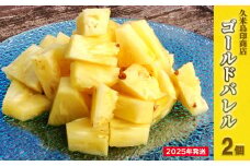 【2025年発送】久米島印商店「ゴールドバレル」黄金パイナップル2個（1.3kg以上×2個） パイナップル パイン ゴールドバレル 最高級 黄金 樽 甘い ジューシー まろやか ギフト 贈り物 ジュース アイス スムージー フルーツ デザート 果物 南国 沖縄 久米島