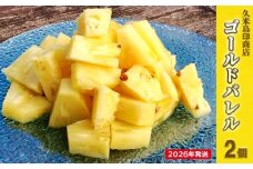 【2026年発送】久米島印商店「ゴールドバレル」黄金パイナップル2個（1.3kg以上×2個） パイナップル パイン ゴールドバレル 最高級 黄金 樽 甘い ジューシー まろやか ギフト 贈り物 ジュース アイス スムージー フルーツ デザート 果物 南国 沖縄 久米島