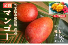 【2025年発送】久米島赤鶏牧場 直送！糖度12度以上「特上」完熟マンゴー 約2kg（4～5玉） マンゴー 完熟 アップルマンゴー アーウィン 甘い 濃厚 循環型農業 減農薬栽培 牧場 養鶏 和牛 久米島の久米仙 酒粕 月桃 ウコン 芳醇 爽やか 南国フルーツ ギフト 久米島