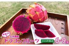 【2026年発送】本永さんの久米島産ドラゴンフルーツ 赤6～9玉（2.3kg以上） ドラゴンフルーツ 果物 果実 フルーツ サボテン ビタミンC カリウム 食物繊維 美容 健康 美肌効果 便秘解消 疲労回復 スムージー サラダ ヨーグルト ゼリー 南国 沖縄 久米島