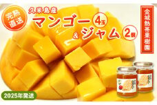 【2025年発送】金城熱帯果樹園 久米島産完熟マンゴー4玉【贈答用】＆ジャム2個セット 計約2kg マンゴー アーウィン アップル 贈答 プレゼント 贈り物 果物 フルーツ 果樹 甘い ジューシー ジュース スムージー ジャム アイス 糖度 果肉 南国 沖縄 久米島