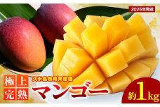 【2025年発送】久米島熱帯果樹園 極上完熟マンゴー 約1kg（2～3玉） アーウィン アップルマンゴー マンゴー トロピカル フルーツ 果物 南国 沖縄 久米島 ふるさと納税 農園直送 甘い ジューシー 濃厚 完熟 糖度が高い とろける 特選品 ジュース スムージー