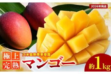【2026年発送】久米島熱帯果樹園 極上完熟マンゴー 約1kg（2～3玉） アーウィン アップルマンゴー マンゴー トロピカル フルーツ 果物 南国 沖縄 久米島 ふるさと納税 農園直送 甘い ジューシー 濃厚 完熟 糖度が高い とろける 特選品 ジュース スムージー
