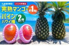【2025年発送】久米島印商店 完熟マンゴー約1kg&Ｎパイン2個（1.5kg以上×2） マンゴー パイナップル セット 甘い 酸味 バランス 人気 贈り物 ギフト フルーツ 果物 デザート スムージー ジュース アイス ヨーグルト ジャム 南国 沖縄 久米島