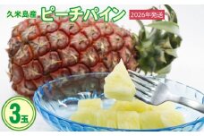 【2026年発送】比屋定農園 ピーチパイン 3玉（計約2kg） パイナップル パイン 高級 桃 ピーチ 果肉 甘酸っぱい ジューシー 芳醇な香り スナック感覚 フルーツ 果物 ジュース スムージー ヨーグルト アイス ケーキ タルト 沖縄 久米島