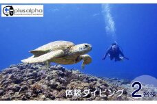 ダイビングパラダイス！久米島で体験ダイビング【ペア】