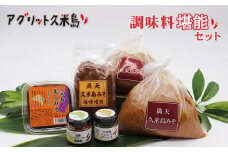 【アグリット久米島】調味料堪能セット みそ 味噌 油味噌 あんだみすー 味噌汁 にんにく ガーリック ラー油 ブレンド シークヮーサー 手づくり 米麹 自然熟成 胡椒 コショウ 受賞 辛味 セット ペースト アレンジ
