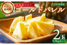 【2025年発送】比屋定農園「久米定パイン」ゴールドバレル 2玉（1.7kg以上×2玉） パイナップル パイン 高級 最高峰 黄金色 糖度 濃厚 甘い 希少 樽型 フルーツ 果物 ジュース スムージー ヨーグルト アイス ケーキ タルト 沖縄 久米島