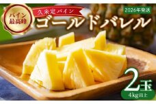 【2026年発送】比屋定農園「久米定パイン」ゴールドバレル 2玉（4kg以上） パイナップル パイン 高級 最高峰 黄金色 大玉 糖度 濃厚 甘い 希少 樽型 フルーツ 果物 ジュース スムージー ケーキ アイス タルト 沖縄 久米島