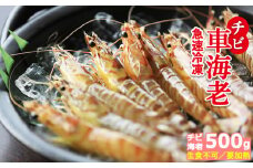 【久米総合開発】急速冷凍チビ車海老：500g（要加熱） 海の幸 海鮮 車えび クルマエビ くるまえび 高級 食材 生食 刺身 鮮度抜群 プリプリ 甘み 旨味 ギフト グルメ お祝い 贈答品 贈り物 お取り寄せ 土産