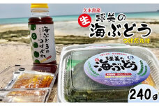 球美の”生”海ぶどう（80g×3個+つけだれ）