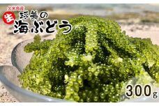 球美の”生”海ぶどう（100g×3個）