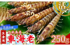 【久米島漁協】活〆冷凍車海老　生食用250g 海の幸 海鮮 車えび クルマエビ 車海老 高級食材 生食 刺身 鮮度抜群 プリプリ 甘み 旨味 塩焼き 天ぷら 素揚げ フライ パスタ ピザ BBQ シーフード