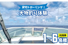 貸切トローリング！「大物釣り体験」1～6名様ご利用券 トローリング ボート 船 ルアー 餌 釣り 外洋 シイラ カツオ キハダマグロ カジキ 回遊魚 釣り竿 フィッシング 沖縄 釣り人 海 魚 貸切 体験